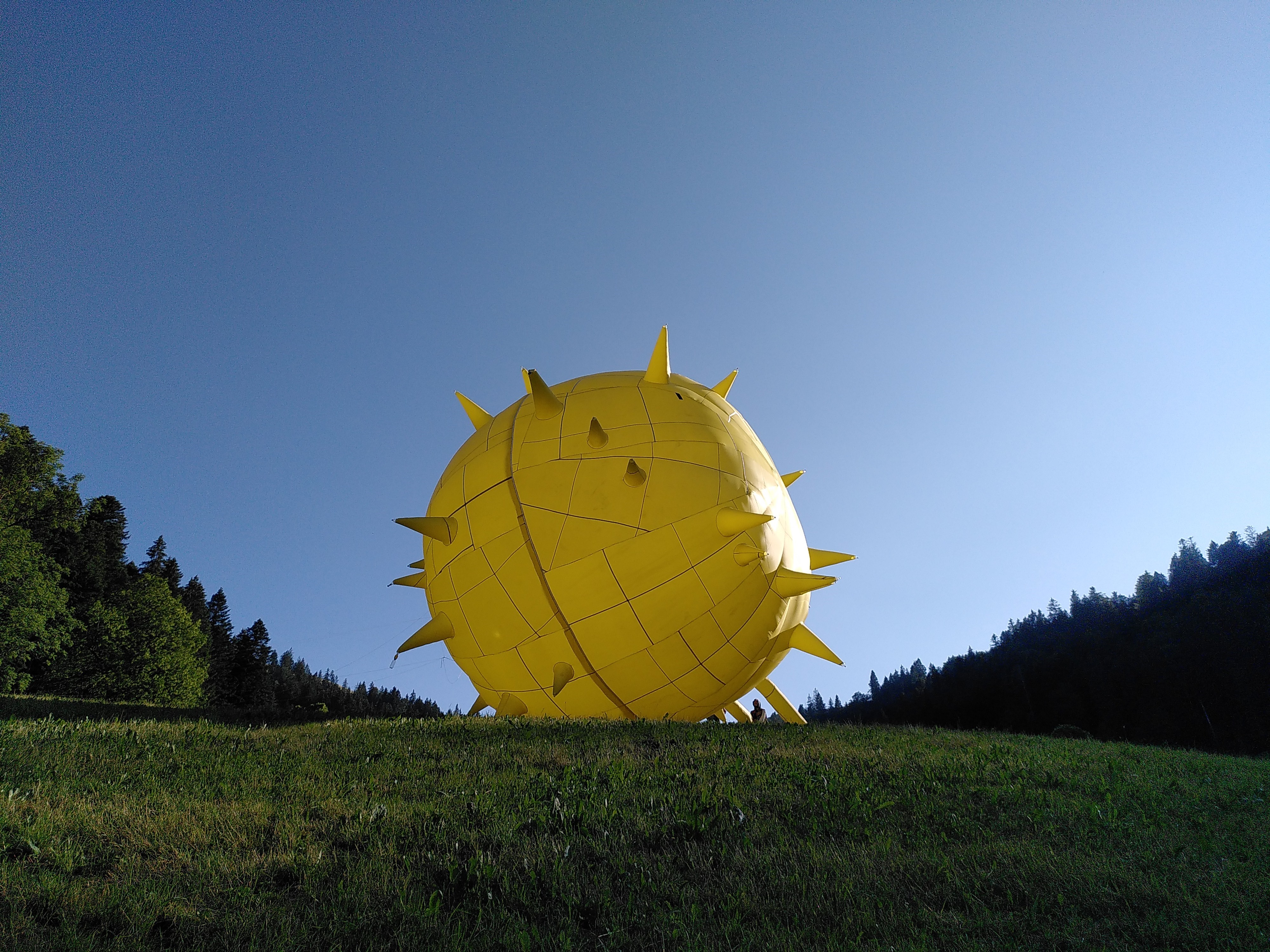 Ein großer, gelber, aufgeblasener Ballon mit vielen Spitzen daran. Er liegt auf einer großen Wiese, daneben Büsche, darüber blauer Himmel.